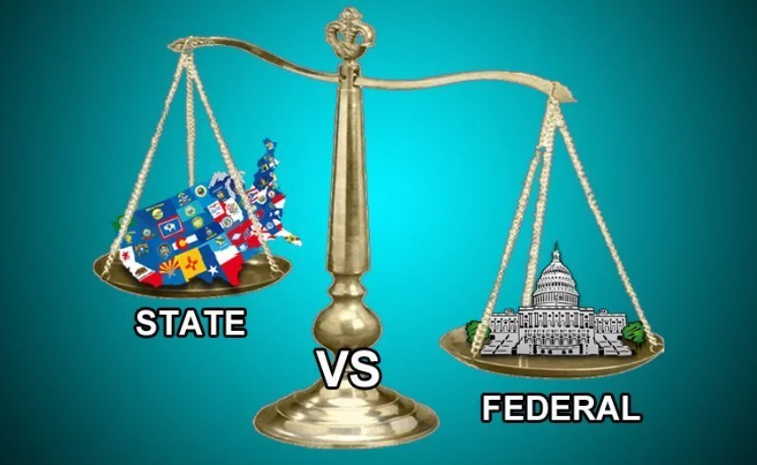 States vs Federal